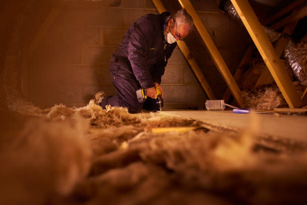 Types of Insulation We Offer in Edwardsville, KS